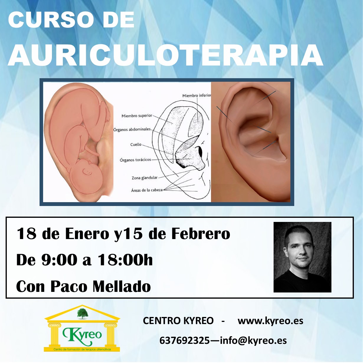 Curso de AURICULOTERAPIA en Kyreo